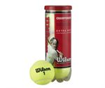 Resim  Tenis Topu Wilson Championship 3 lü